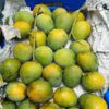 সাতক্ষীরার হিমসাগর আম ( ২৪ কেজি )