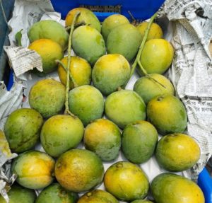 সাতক্ষীরার হিমসাগর আম ( ১২ কেজি )
