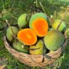 সাতক্ষীরার গোবিন্দভোগ আম ( ২০ কেজি )